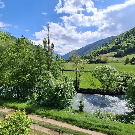 公寓 Duplex 55m2, 6 Personnes, Chiens Acceptes 阿雷奥